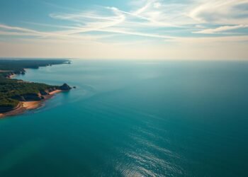 Haiarten Ostsee Überblick
