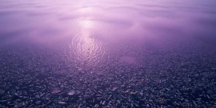 Meeresverschmutzung durch Plastik