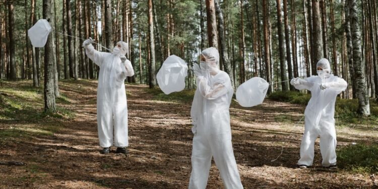 Biohazard-Sanierung 2026: Effizienz nach Extremereignissen