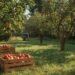 Regionale Obstsorten im Garten: Selbstversorgung 2026