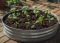 Vitavia Hochbeet Terra: Material und Maße im Check