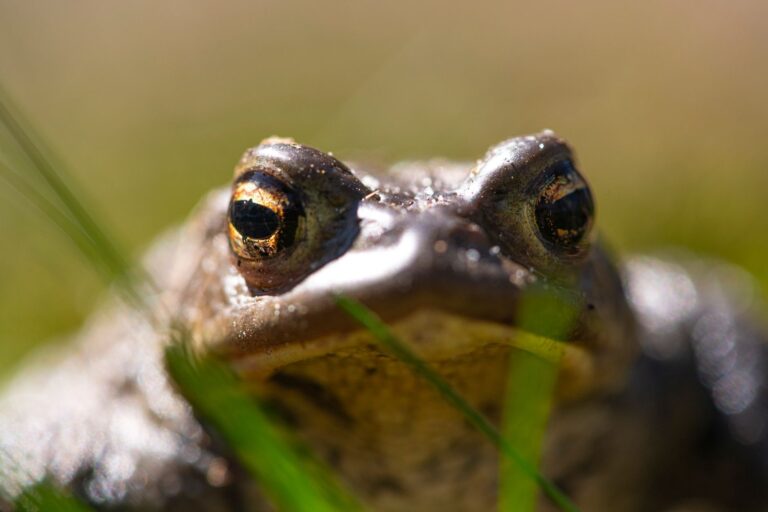 Wasserstrahlanlagen richtig auslegen